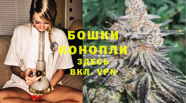 спайс Елизово