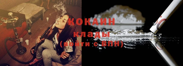 спайс Елизово