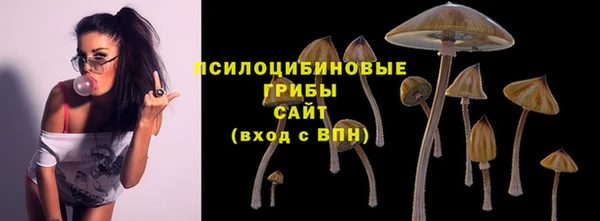 не бодяженный Елабуга