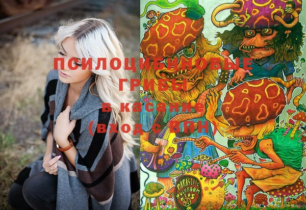 спайс Елизово