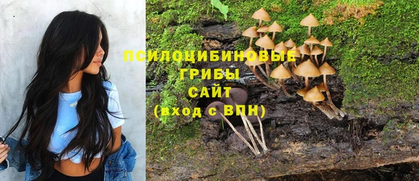 спайс Елизово