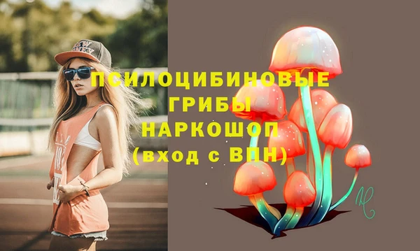 спайс Елизово
