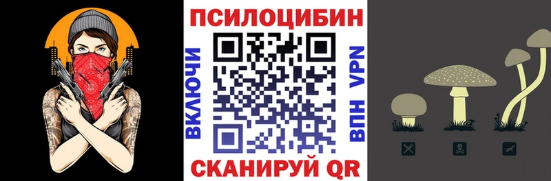 Купить закладки  Ипатово  Псилоцибиновые грибы Cubensis 